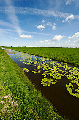 포토 JPG 해외이미지 주간 구름 계절 꽃 밭 자연 하늘 날씨 풍경 사람없음 초록색 물 파란색 강 맑음 봄 흰색 시골 개울 네덜란드 해외202004 해외포토 자연요소 식물 유럽 컬러 농업 생태계 파일형식 이미지허브