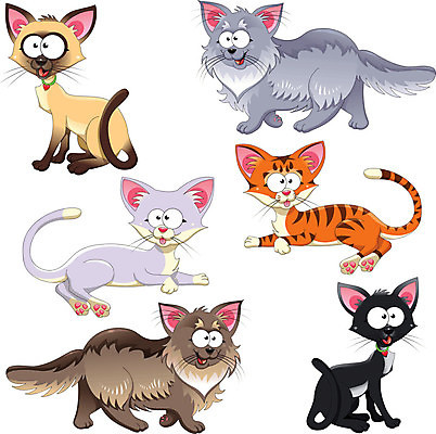 EPS 해외이미지 동물 캐릭터 오렌지 일러스트 가족 반려동물 세트 갈색 검은색 고양이 흰색 표현 그룹 만화 오브젝트 얼룩무늬 고립 마스코트 해외202004 해외일러스트 일러캐릭터 컬러 무늬 과일 포유류 관계 파일형식 벡터 이미지허브