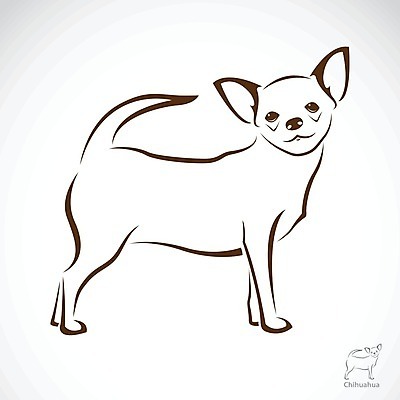 EPS 해외이미지 동물 1 손 실루엣 얼굴 백그라운드 일러스트 포유류 미술 서기 사람 빨간색 반려동물 컬러풀 장난감 갈색 머리 흰색 개 강아지 작음 만화 스케치 싱글 그림 꼬리 오르기 클립 귀 치와와 송곳니 고립 기르기 동반자 해외202004 해외일러스트 컬러 모션 문화예술 촬영기법 신체부위 치아 크기 돌봄 파일형식 벡터 이미지허브