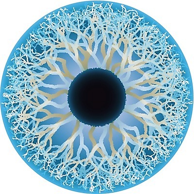 EPS 해외이미지 학생 응시 실루엣 패턴 신체 일러스트 부분 사람 그래픽 파란색 검은색 흰색 눈동자 피부 묘사 그림 질감 시력 비전 붓꽃 정맥 현실 해외202004 해외일러스트 시선 꽃 컬러 무늬 촬영기법 신체부위 눈_신체부위 혈관 파일형식 벡터 이미지허브