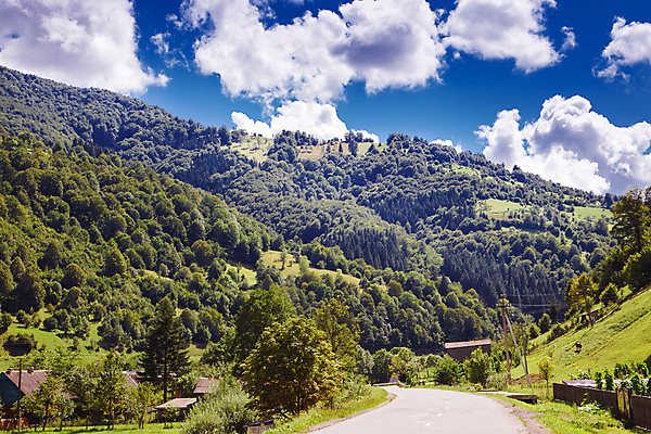 포토 JPG 해외이미지 나무 구름 계절 유럽 여행 백그라운드 밭 자연 하늘 휴가 산 풍경 사람없음 야외 초록색 여름 파란색 컬러풀 마을 봄 시골 숲 언덕 폴란드 옛날 해외202004 해외포토 자연요소 식물 나라 컬러 농업 생태계 파일형식 이미지허브