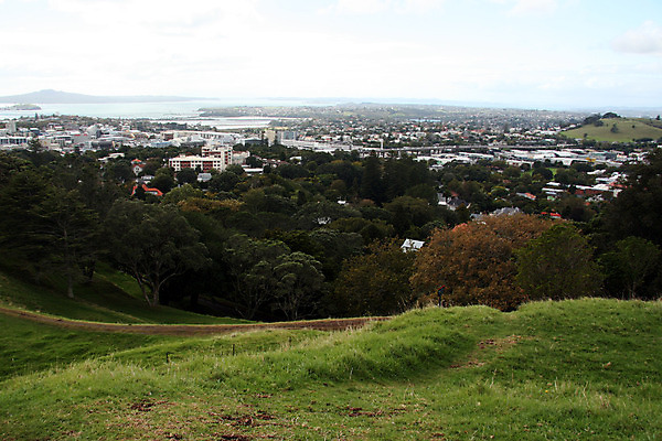 포토 JPG 해외이미지 나무 공원 밭 새로움 산 사람없음 뉴질랜드 해외202004 해외포토 식물 공공시설 컨셉 농업 오세아니아 파일형식 이미지허브