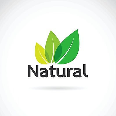 EPS 해외이미지 잎 일러스트 비즈니스 사람없음 심볼 내추럴 내츄럴 브랜딩 해외202004 해외일러스트 식물 파일형식 벡터 이미지허브