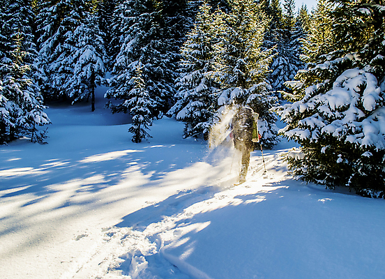 포토 JPG 해외이미지 주간 전신 겨울 그림자 한명 풍경 성인 야외 뒷모습 햇빛 걷기 맑음 등산 트래킹 하이킹 숲 삼림지대 눈내림 가문비나무 성인한명만 설산 해외202004 해외포토 자연요소 나무 1 계절 뷰포인트 모션 레저 날씨 산 눈_날씨 사람 태양 성인만 파일형식 이미지허브