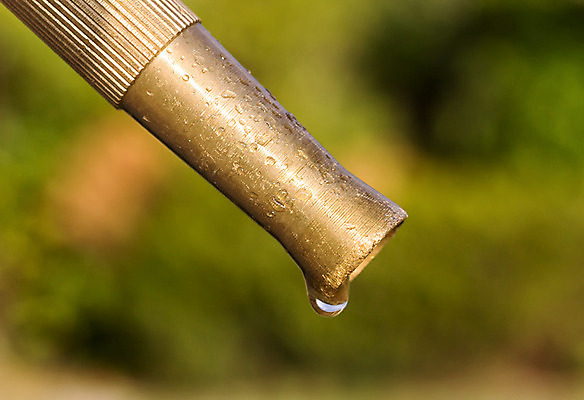 포토 JPG 해외이미지 잔디 사람없음 물 정원 젖음 청소 뿌리기 물주기 호스 고무 대각선 노즐 놋쇠 스프링쿨러 해외202004 해외포토 자연요소 식물 선 모션 파일형식 이미지허브