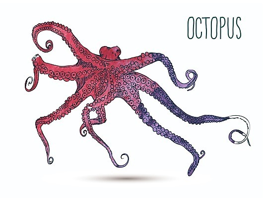 EPS 해외이미지 모양 동물 손 디자인 포스터 야생동물 음식 바다 백그라운드 일러스트 자연 추상 휴가 수채화 미술 그래픽 장식 여름 컬러풀 검은색 페인트 수확 골동품 흰색 직물 인쇄 오브젝트 그림 질감 복고 생물학 엽서 윤곽 문어 석호 그런지 해외202004 해외일러스트 계절 교육 컬러 무늬 농업 문화예술 연체동물 신체부위 수중동물 편지 생태계 파일형식 벡터 이미지허브