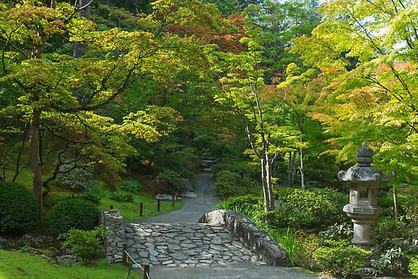 포토 JPG 해외이미지 나무 공원 길 풍경 사람없음 야외 물 반사 산책 가을 연못 시애틀 워싱턴 해외202004 해외포토 자연요소 식물 계절 공공시설 휴식 미국 파일형식 이미지허브