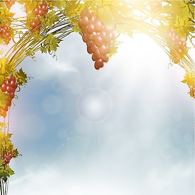 EPS 해외이미지 나무 식물 구름 열매 백그라운드 잎 농업 과일 일러스트 재료 자연 하늘 포도 아침 추상 프레임 야외 빛 햇빛 태양 농장 환경 정원 맑음 보라색 수확 광선 나뭇가지 맛 유기농 포도밭 부드러움 포도나무 천국 내추럴 숙성 양조장 해외202004 해외일러스트 주간 자연요소 웰빙 산업 컬러 컨셉 무늬 밭 날씨 감각 과일나무 생태계 파일형식 벡터 이미지허브