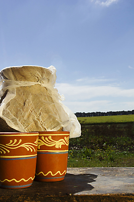 포토 JPG 해외이미지 1 음료 음식 다이어트 재료 탁자 건강 사람없음 우유 추위 흰색 기구 신선 조끼 항아리 액체 소 상품 먹기 오브젝트 유기농 건강식 유리주전자 내추럴 단백질 칼슘 평야 해외202004 해외포토 웰빙 컬러 가구 포유류 모션 자연 유리 주전자 유제품 외투 도자기 영양소 파일형식 이미지허브