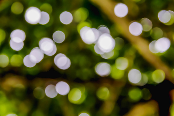 포토 JPG 해외이미지 나무 식물 디자인 백그라운드 컨셉 잎 패턴 자연 추상 사람없음 아웃포커스 초록색 파란색 빛 울타리 햇빛 노란색 환경 활발 거품 흰색 원형 소프트포커스 질감 보케 부드러움 분재 내추럴 블러 효과 해외202004 해외포토 도형 컬러 무늬 촬영기법 담장 태양 감각 생태계 파일형식 이미지허브