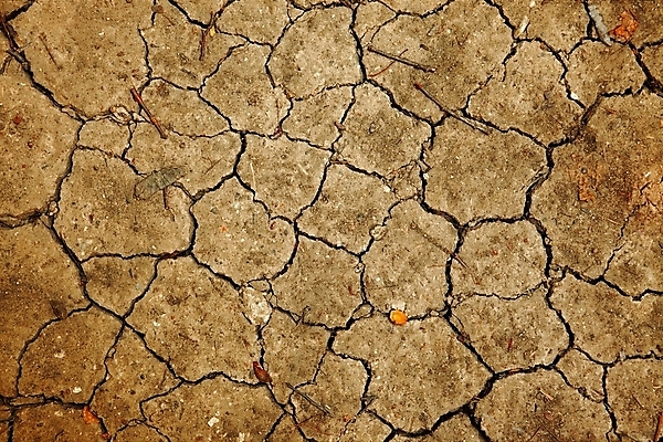 포토 JPG 해외이미지 지구 모래 백그라운드 패턴 농업 자연 표면 건조 사람없음 글로벌 갈색 환경 흙 사막 뜨거움 거친 황무지 균열 땅 눈물 묘사 부식 질감 먼지 점토 지역 진흙 가뭄 다리찢기 깨짐 단절 땅바닥 생태학 지리 지질학 해외202004 해외포토 교육 감정 산업 컬러 컨셉 무늬 모션 날씨 바닥 생태계 파일형식 이미지허브