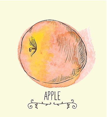 EPS 해외이미지 식물 손 디자인 꽃 실루엣 음식 백그라운드 잎 농업 다이어트 오렌지 과일 일러스트 자연 추상 잉크 건강 미술 빨간색 초록색 여름 세트 노란색 수확 벚꽃 나뭇가지 신선 그룹 달콤 맛 사과 만화 수집 먹기 심볼 복고 건강식 고립 그런지 옛날 채식주의자 디테일 해외202004 해외일러스트 나무 계절 산업 컬러 컨셉 무늬 모션 문화예술 촬영기법 신체부위 생태계 채식 파일형식 벡터 이미지허브