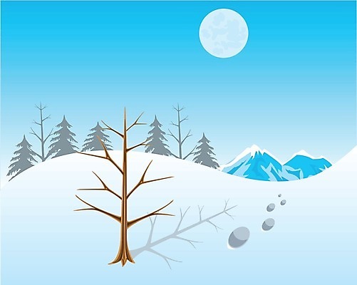 EPS 해외이미지 나무 계절 실루엣 백그라운드 크리스마스 겨울 일러스트 자연 벽지 하늘 휴가 새로움 산 풍경 장식 파란색 냉동 야간 그늘 시원함 12월 심볼 서식 복고 서리 장면 수목 자취 제설기 해외202004 해외일러스트 자연요소 식물 기념일 컬러 컨셉 촬영기법 날짜 생태계 제설 파일형식 벡터 이미지허브