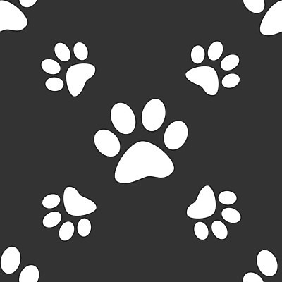 EPS 해외이미지 모양 동물 디자인 실루엣 야생동물 백그라운드 컨셉 패턴 일러스트 곰 코끼리 프레임 그림자 야외 그래픽 반려동물 검은색 고양이 웹 흰색 원형 호랑이 개 강아지 인쇄 발자국 만화 심볼 흔적 사인 심플 사냥개 윤곽 발가락 늑대 수의사 고립 선로 양발 엘리먼트 자취 집게발 스타일 해외202004 해외일러스트 도형 컬러 무늬 인터넷 포유류 자국 발 촬영기법 의사 파일형식 벡터 이미지허브