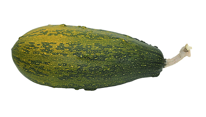 포토 JPG 해외이미지 오렌지 자연 사람없음 장식 초록색 수확 가을 큼 오브젝트 흰배경 박 추수감사절 스쿼시 고립 울퉁불퉁 해외202004 해외포토 계절 기독교 스포츠 컬러 백그라운드 농업 과일 구기 흰색 크기 생태계 파일형식 이미지허브