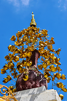 포토 JPG 해외이미지 디자인 꽃 아시아 종교 문화 조각 백그라운드 패턴 불교 창문 태국 프레임 미술 동양인 사람없음 컬러풀 문 사찰 역사 황금 묘사 아치 질감 방콕 대문 시멘트 동쪽 숭배 스타일 해외202004 해외포토 식물 나라 컬러 무늬 종교건축 문화예술 인종 방향 파일형식 이미지허브