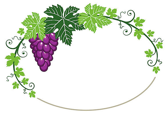 EPS 해외이미지 나무 식물 디자인 열매 꽃 실루엣 음식 백그라운드 잎 꽃무늬 패턴 과일 일러스트 자연 벽지 포도 프레임 그래픽 장식 초록색 파란색 노란색 와인 나뭇가지 화려 포도밭 포도나무 고립 스타일 해외202004 해외일러스트 컬러 컨셉 무늬 밭 주류 촬영기법 과일나무 생태계 파일형식 벡터 이미지허브