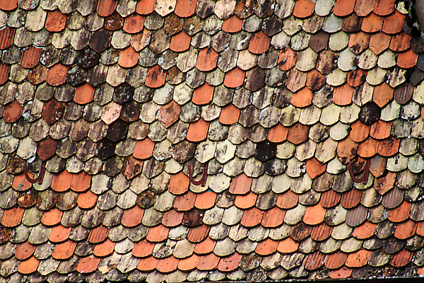 포토 JPG 해외이미지 유럽 백그라운드 창문 하늘 지붕 벽돌 산 주택 풍경 사람없음 건물 빨간색 초록색 도자기 중세 타일 스위스 질감 옛날 해외202004 해외포토 건축물 나라 컬러 역사 파일형식 이미지허브
