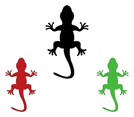 EPS 해외이미지 동물 실루엣 백그라운드 일러스트 파충류 생물 동물원 빨간색 초록색 반려동물 가시 선탠 문신 눈금 꼬리 도마뱀 이구아나 브라질 선사시대 고립 아마존 양발 끈적임 해외202004 해외일러스트 컬러 촬영기법 남아메리카 역사 파일형식 벡터 이미지허브