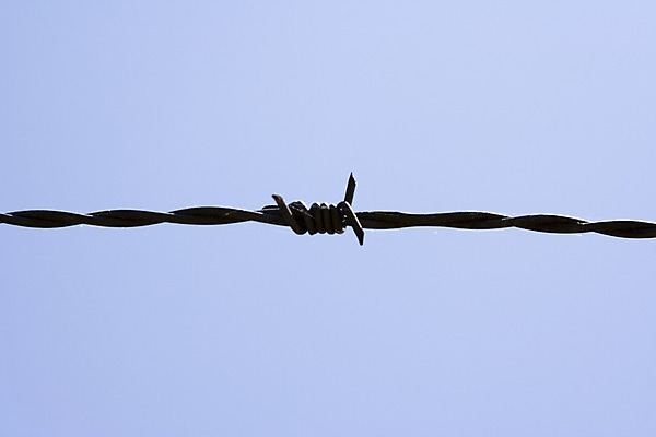 포토 JPG 해외이미지 모양 산업 백그라운드 패턴 추상 미술 경비 사람없음 울타리 금속 힘 닫기 접속 바리케이드 교도소 타일 보안 정사각형 철사 새장 펜싱 대칭 해외202004 해외포토 도형 스포츠 무늬 모션 재질 문화예술 안전 담장 보호 감옥 케이지 파일형식 이미지허브