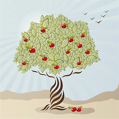 EPS 해외이미지 모양 나무 계절 백그라운드 잎 밭 과일 일러스트 자연 조류 하늘 미술 풍경 빨간색 초록색 파란색 농작물 햇빛 태양 갈색 정원 수확 가을 달콤 사과 과수원 싱글 에코 유기농 생태계 복잡 숙성 파스텔톤 스타일 디테일 해외202004 해외일러스트 자연요소 식물 동물 웰빙 컬러 컨셉 농업 문화예술 환경 맛 파일형식 벡터 이미지허브