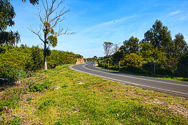 포토 JPG 해외이미지 나무 계절 유럽 도로 길 선 여행 밭 농업 곡선 교통시설 모션 자연 그림자 미술 풍경 사람없음 야외 초록색 검은색 봄 운전 시골 고속도로 숲 아스팔트 땅 방향 언덕 사인 속도 장면 루트 방법 수평선 해외202004 해외포토 식물 나라 산업 컬러 교통 문화예술 시설 생태계 파일형식 이미지허브