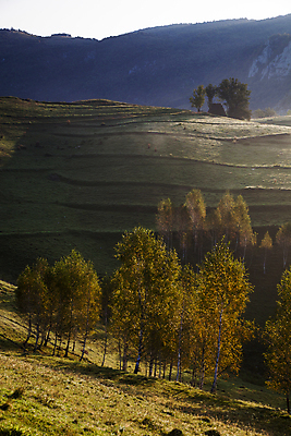 포토 JPG 해외이미지 나무 구름 계절 공원 여행 백그라운드 자연 하늘 아침 휴가 산 풍경 사람없음 야외 초록색 여름 파란색 빛 컬러풀 햇빛 태양 일출 환경 계곡 어둠 황혼 일몰 봄 새벽 안개 가을 흰색 시골 숲 언덕 장면 내추럴 뿌연 전국 절정 환상 해외202004 해외포토 주간 자연요소 식물 공공시설 컬러 컨셉 날씨 노을 생태계 파일형식 이미지허브