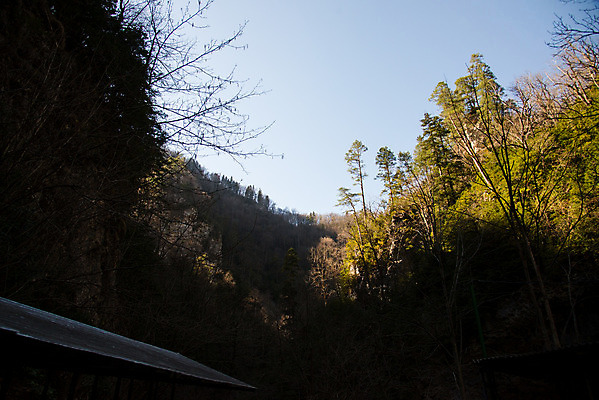 포토 JPG 해외이미지 나무 유럽 여행 백그라운드 자연 산 종류 풍경 사람없음 목재 물 강 봄 폭포 개울 수분 러시아 암초 안심 채널 해외202004 해외포토 자연요소 식물 계절 나라 재료 육류 생태계 파일형식 이미지허브