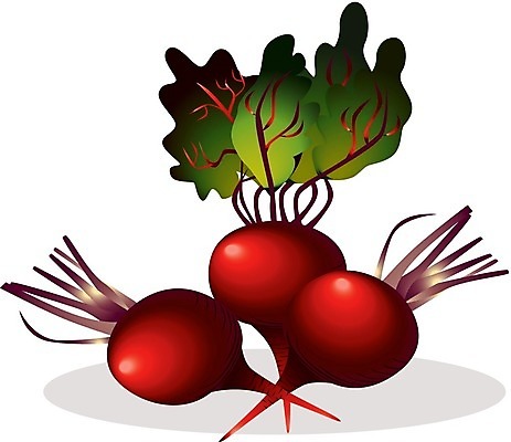 EPS 해외이미지 라이프스타일 음식 농업 다이어트 채소 일러스트 재료 건강 요리 초록색 식사 샐러드 수확 신선 맛 먹기 메뉴 흰배경 상쾌 그림 심플 뿌리 고립 비트 숙성 채식주의자 해외202004 해외일러스트 감정 산업 컬러 백그라운드 컨셉 모션 생활 흰색 채식 파일형식 벡터 이미지허브