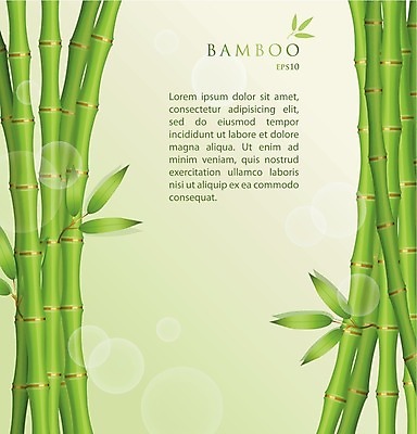 EPS 해외이미지 나무 식물 템플릿 전통 디자인 배너 공원 실루엣 문화 줄기 백그라운드 잎 꽃무늬 일러스트 텍스트 자연 벽지 추상 새로움 한국 미술 동양인 풍경 장식 초록색 여름 정원 일본 중국 봄 신용카드 꽃집 대나무 그림 초대 고립 엘리먼트 부족함 해외202004 해외일러스트 계절 공공시설 꽃 아시아 컬러 컨셉 무늬 문화예술 촬영기법 인종 금융 상점 생태계 파일형식 벡터 이미지허브