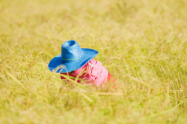 포토 JPG 해외이미지 식물 아시아 음식 분홍색 백그라운드 태국 밥 노동자 동양인 사람없음 파란색 농작물 농장 농경지 노란색 수확 시골 업무 농부 낟알 시리얼 밭일 숙성 해외202004 해외포토 직업 나라 컬러 농업 인종 작업 파일형식 이미지허브