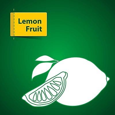 EPS 해외이미지 라이프스타일 디자인 음식 조각 스티커 오렌지 일러스트 자연 딸기 포도 수박 건조 바나나 건강 초록색 여름 라벨 정원 주스 수확 신선 체리 시장 달콤 맛 사과 만화 레몬 파인애플 그림 클립 산딸기 망고 고립 배려 살구 숙성 채식주의자 비건 해외202004 해외일러스트 계절 음료 컬러 컨셉 농업 과일 프레임 생활 열대과일 생태계 채식 파일형식 벡터 이미지허브