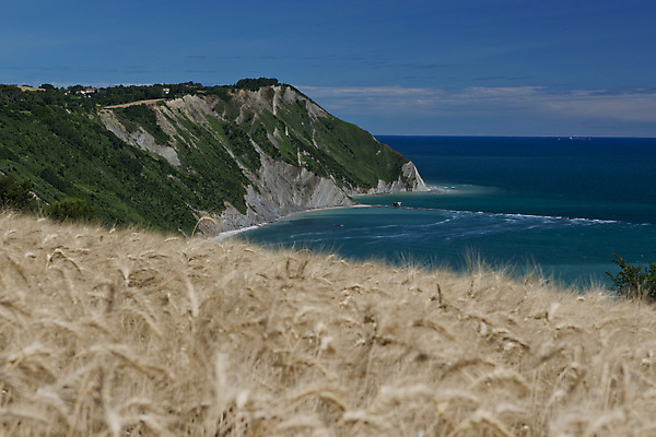 포토 JPG 해외이미지 바다 밭 휴가 풍경 사람없음 야외 물 여름 태양 이탈리아 만 투명 밀 스파이크 터키석 해외202004 해외포토 자연요소 계절 유럽 농업 곡류 보석 파일형식 이미지허브
