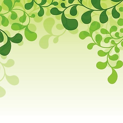 EPS 해외이미지 나무 식물 디자인 선 백그라운드 잎 패턴 일러스트 자연 추상 그래픽 장식 초록색 여름 정원 봄 나뭇가지 숲 에코 질감 내추럴 생태학 해외202004 해외일러스트 계절 교육 컬러 무늬 환경 생태계 파일형식 벡터 이미지허브