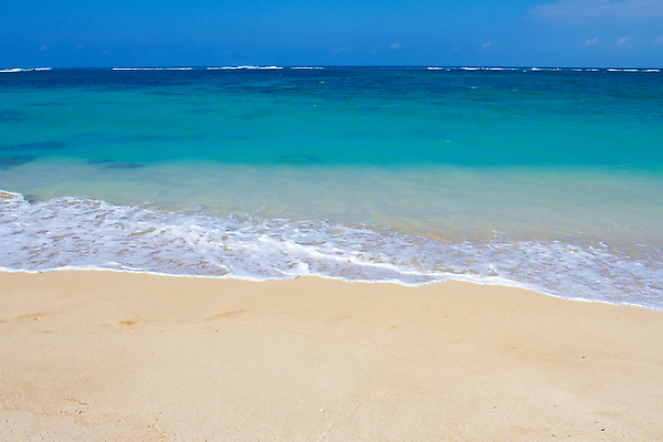 포토 JPG 해외이미지 모래 파도 바다 섬 여행 자연 하늘 휴가 따뜻함 풍경 해변 사람없음 초록색 물 파란색 관광지 흰색 서핑 하와이 파라다이스 해외202004 해외포토 자연요소 컬러 미국 수상스포츠 생태계 파일형식 이미지허브