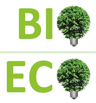 포토 JPG 해외이미지 나무 아이콘 컨셉 잎 전구 자연 아이디어 사람없음 초록색 환경 힘 재활용 에너지 그린에너지 에코 생태계 자원 바이오 생태학 해외202004 해외포토 식물 교육 컬러 친환경 파일형식 이미지허브