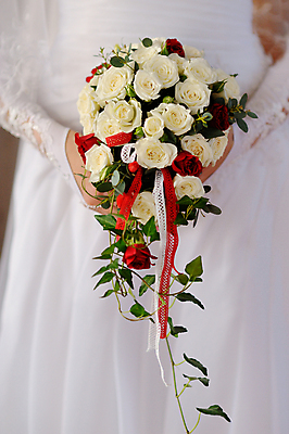 포토 JPG 해외이미지 여자 꽃 행복 꽃다발 결혼 꽃무늬 자연 관리 사랑 성인 사람없음 장식 초록색 맑음 흰색 축하 신선 반지 잡기 고급 다발 기회 약혼 해외202004 해외포토 식물 감정 컬러 컨셉 무늬 장신구 모션 날씨 사람 이벤트 생태계 약속 파일형식 이미지허브