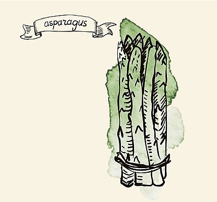 EPS 해외이미지 디자인 계절 창 음식 줄기 백그라운드 다이어트 채소 일러스트 재료 자연 수채화 건강 요리 초록색 새싹 식당 식사 페인트 샐러드 성장 흰색 신선 낙서 수증기 다발 메뉴 그림 유기농 아스파라거스 날것 내추럴 고립 생식 채식주의자 총쏘기 해외202004 해외일러스트 식물 웰빙 무기 컬러 모션 상점 생태계 채식 파일형식 벡터 이미지허브