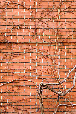 포토 JPG 해외이미지 벽 조각 백그라운드 패턴 오렌지 건축양식 벽지 표면 추상 벽돌 주택 돌담 사람없음 빨간색 울타리 갈색 블록 도시 얼룩 거친 균열 보호 파편 건축가 타일 질감 복고 시멘트 점토 벽돌담 직사각형 고체 구식 그런지 옛날 콘크리트 해외202004 해외포토 도형 직업 건축 컬러 컨셉 무늬 과일 모션 건물 담장 돌_바위 파일형식 이미지허브