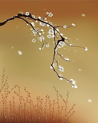 EPS 해외이미지 나무 디자인 꽃 행복 잎 겨울 꽃무늬 일러스트 캘리그라피 자연 바람 아이디어 갈색 일본 중국 봄 성장 벚꽃 가을 흰색 나뭇가지 황금 우아함 스타일 해외202004 해외일러스트 자연요소 식물 계절 감정 아시아 컬러 컨셉 무늬 날씨 생태계 파일형식 벡터 이미지허브