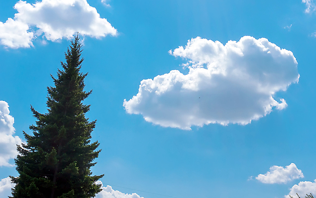 포토 JPG 해외이미지 나무 식물 구름 여행 백그라운드 밭 자연 하늘 산 미술 풍경 경사 사람없음 야외 목재 옆모습 초록색 여름 빛 컬러풀 노란색 환경 계곡 맑음 하이킹 가을 소나무 정상 숲 언덕 장면 상록수 침엽수 전나무 웅장함 가문비나무 해외202004 해외포토 자연요소 계절 뷰포인트 컬러 농업 재료 레저 날씨 문화예술 생태계 파일형식 이미지허브
