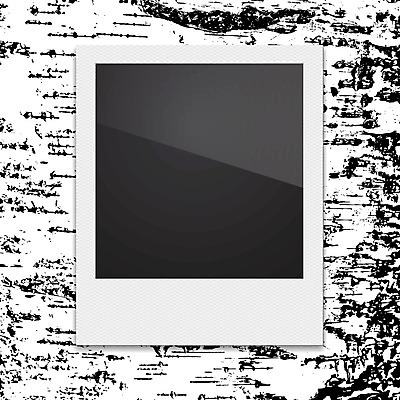 EPS 해외이미지 디자인 종이 백그라운드 일러스트 프레임 그래픽 카메라 검은색 공백 추위 수확 흰색 신용카드 앨범 두루마리 수집 심볼 그림 질감 복고 심플 자작나무 고립 그런지 순간 엘리먼트 옛날 해외202004 해외일러스트 나무 컬러 농업 금융 전자제품 파일형식 벡터 이미지허브