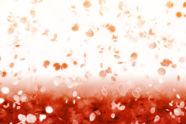 JPG 해외이미지 꽃잎 꽃 백그라운드 일러스트 사람없음 빨간색 그라데이션 카피스페이스 해외202004 해외일러스트 식물 컬러 공백 파일형식 이미지허브