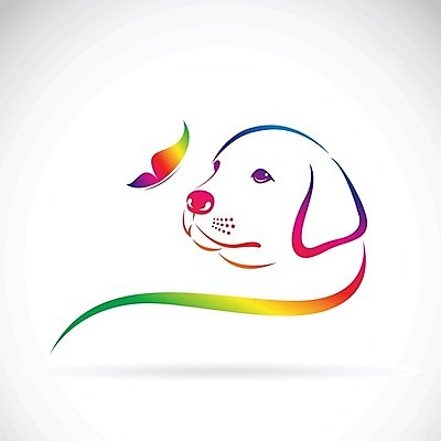 EPS 해외이미지 나비 일러스트 사람없음 반려동물 컬러풀 개 강아지 해외202004 해외일러스트 동물 컬러 곤충 포유류 파일형식 벡터 이미지허브