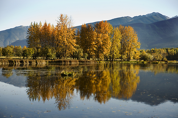 포토 JPG 해외이미지 호수 조류 산 오리 풍경 사람없음 반사 침묵 가을 해외202004 해외포토 동물 계절 소리 파일형식 이미지허브