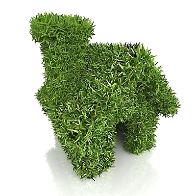 포토 JPG 해외이미지 모양 식물 1 디자인 외관 백그라운드 컨셉 잎 건축양식 창문 자연 지붕 주택 아이디어 사람없음 목재 초록색 상자 갈색 3D 문 환경 성장 흰색 변화 재산 보호 작음 오브젝트 에코 생태계 시골집 서식 내추럴 고립 생태학 엘리먼트 해외202004 해외포토 나무 교육 건축 컬러 재료 건물 금융 크기 디지털합성 파일형식 이미지허브