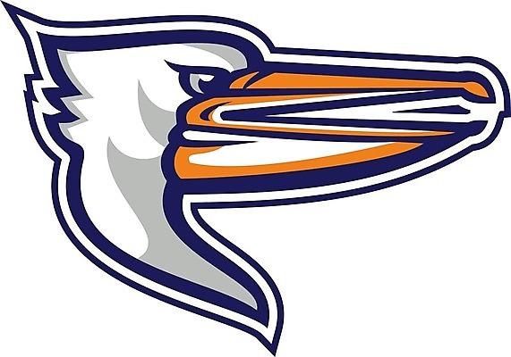 EPS 해외이미지 일러스트 조류 그래픽 머리 분노 펠리컨 흰배경 복고 부리 물새 계산서 고립 해외202004 해외일러스트 동물 감정 백그라운드 신체부위 흰색 파일형식 벡터 이미지허브