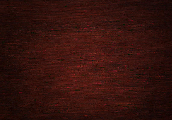 포토 JPG 해외이미지 나무 디자인 백그라운드 패턴 자연 표면 바닥 사람없음 목재 가로 빛 갈색 매트 판넬 널 낟알 묘사 질감 호두 비네팅 옛날 해외202004 해외포토 식물 컬러 무늬 재료 촬영기법 견과류 생태계 파일형식 이미지허브