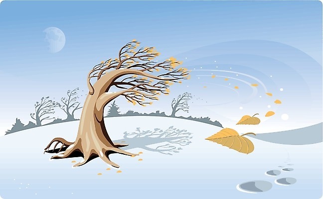 EPS 해외이미지 나무 식물 계절 잎 겨울 밭 일러스트 자연 하늘 바람 날씨 풍경 파란색 환경 냉동 추위 달 가을 나뭇가지 떨어짐 숲 12월 11월 서리 10월 월 해외202004 해외일러스트 자연요소 컬러 컨셉 농업 날짜 생태계 파일형식 벡터 이미지허브