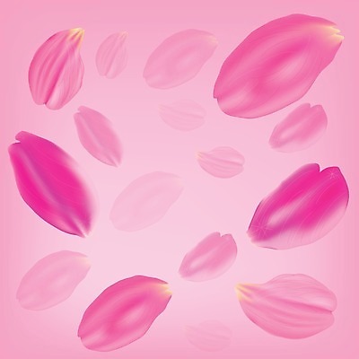 EPS 해외이미지 디자인 계절 기념일 꽃잎 꽃 분홍색 결혼 백그라운드 꽃무늬 일러스트 자연 바람 추상 발렌타인데이 장식 여름 빛 컬러풀 장미 봄 벚꽃 흰색 축하 신용카드 투명 개화 날짜 떨어짐 심볼 부드러움 고립 이국적 해외202004 해외일러스트 자연요소 식물 컬러 컨셉 무늬 데이이벤트 날씨 이벤트 금융 감각 생태계 파일형식 벡터 이미지허브